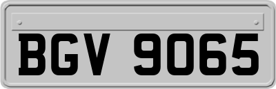 BGV9065