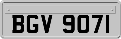 BGV9071