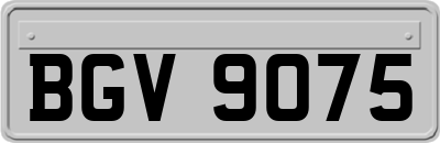 BGV9075