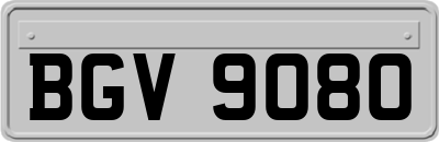 BGV9080