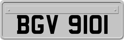 BGV9101