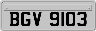 BGV9103