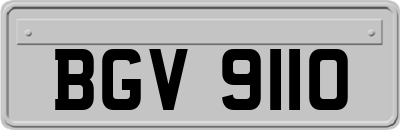 BGV9110