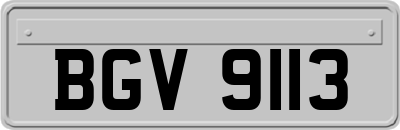BGV9113