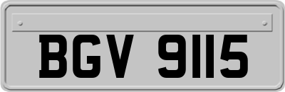 BGV9115