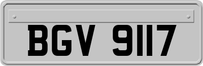 BGV9117