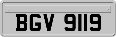 BGV9119