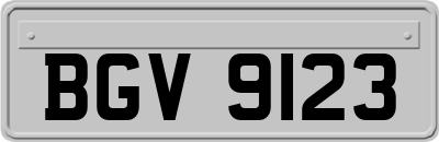 BGV9123