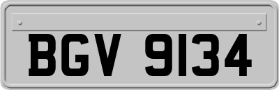 BGV9134