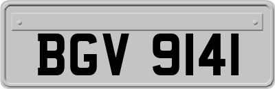 BGV9141