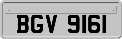 BGV9161
