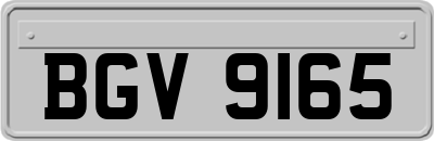 BGV9165