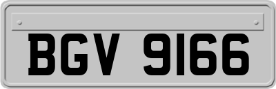 BGV9166