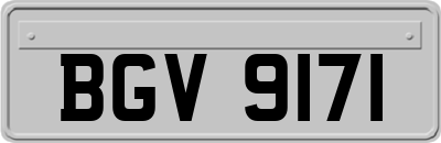 BGV9171