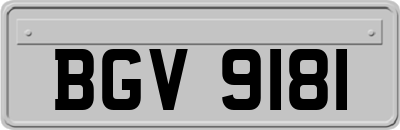 BGV9181