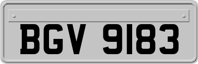 BGV9183