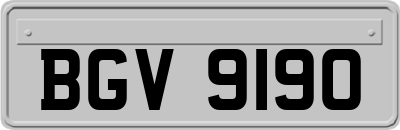 BGV9190
