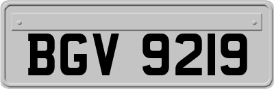 BGV9219