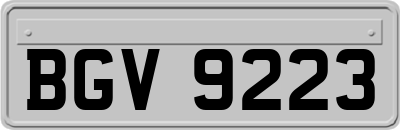 BGV9223