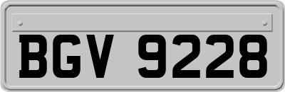 BGV9228
