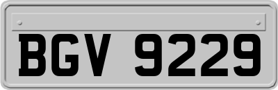 BGV9229