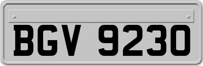 BGV9230