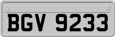 BGV9233
