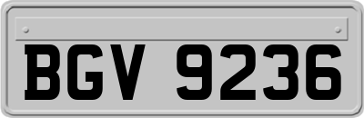 BGV9236