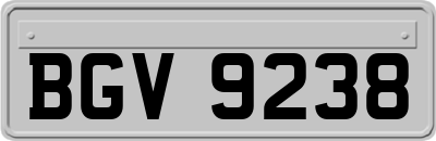 BGV9238