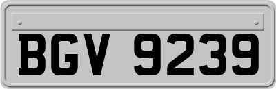 BGV9239