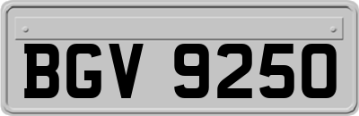 BGV9250