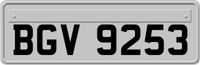 BGV9253