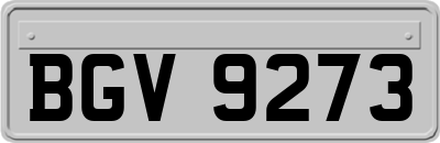 BGV9273