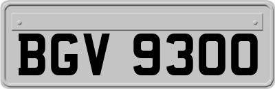 BGV9300