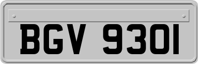 BGV9301
