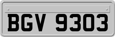 BGV9303