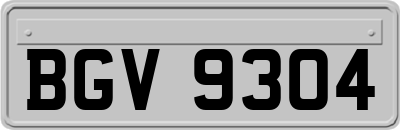 BGV9304