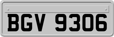 BGV9306