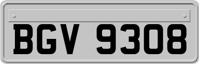 BGV9308