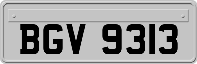 BGV9313