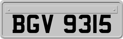 BGV9315