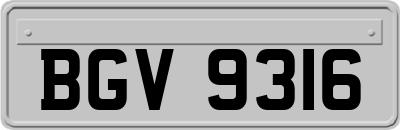 BGV9316