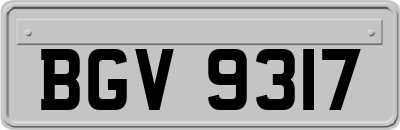 BGV9317