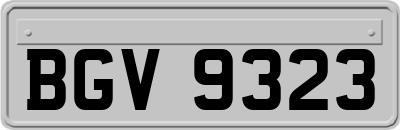 BGV9323