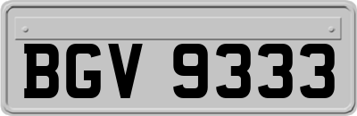 BGV9333