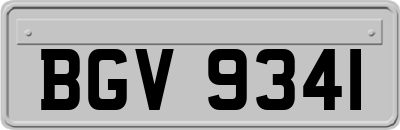 BGV9341