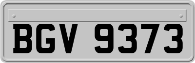 BGV9373