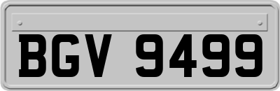 BGV9499