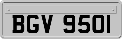 BGV9501