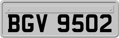 BGV9502